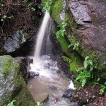 Sylvan Trail Waterfall